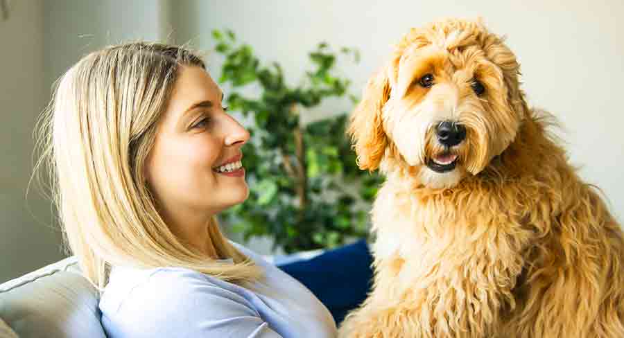 A happy woman smiles at her golden Labradoodle