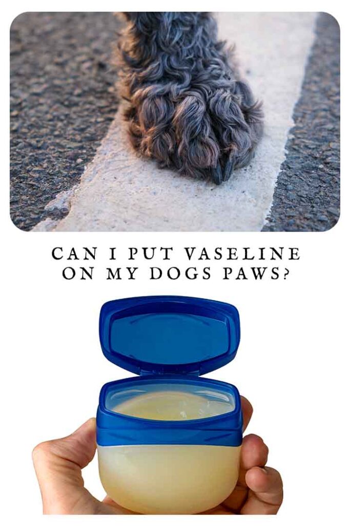 can i use vaseline on dogs paws