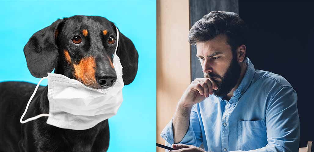 Should I Quarantine My Dog With Worms To Stop Them Spreading?