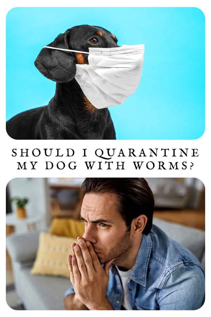 should i quarantine my dog with worms