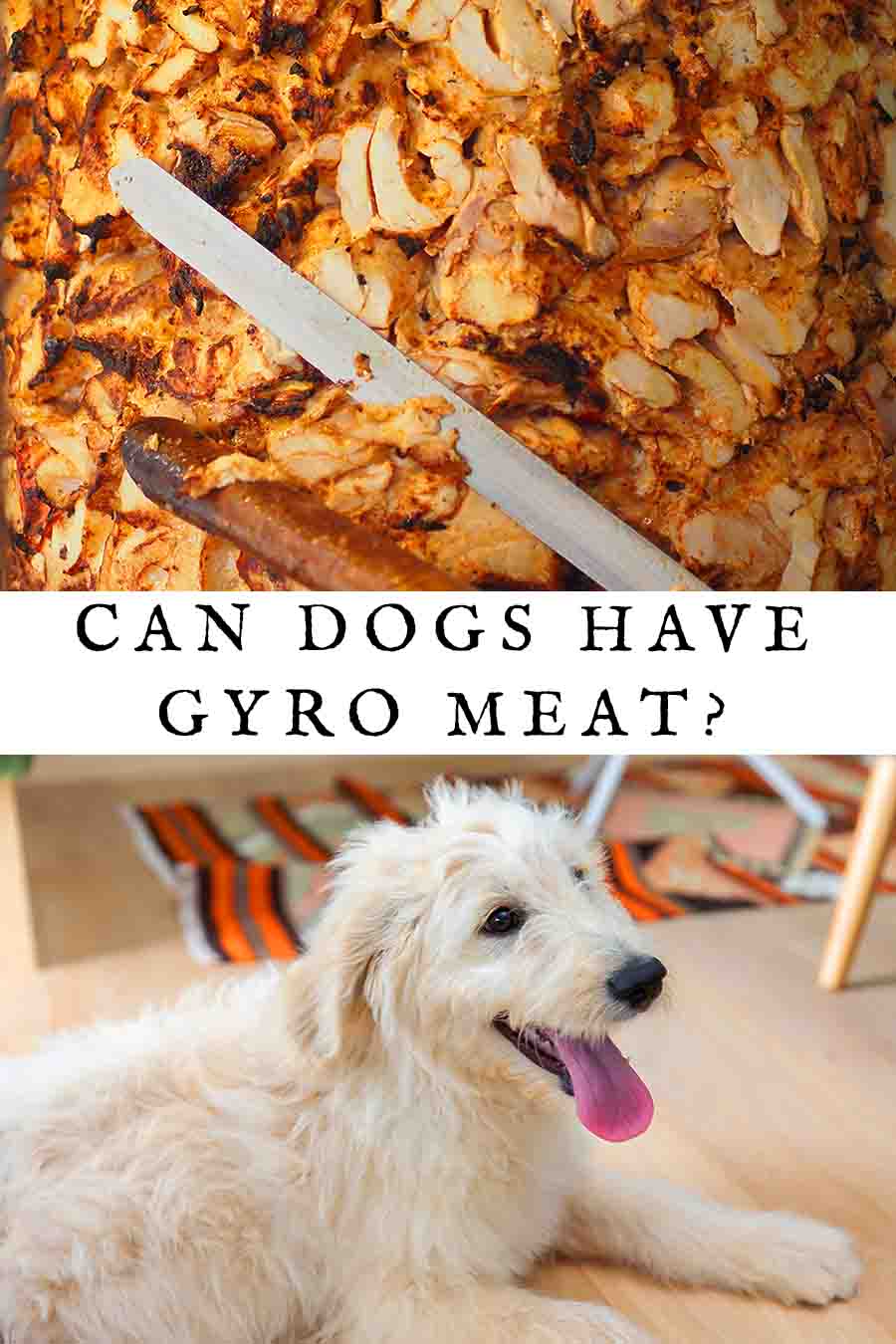 Can Dogs Have Gyro Meat? Is This Greek Snack Safe To Share?